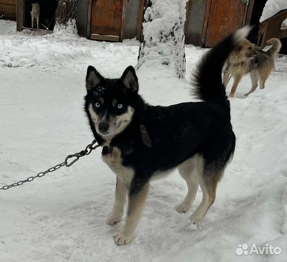 Они вас ждут