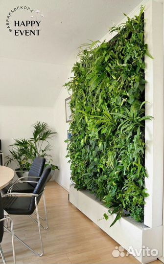 Фитодизайн и озеленение кафе, ресторанов, офисов