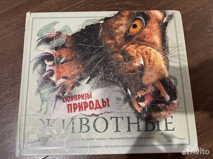 Детская книга