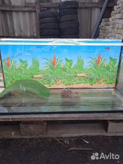Аквариум