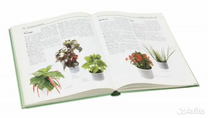 Книга «Цветы в нашем доме»