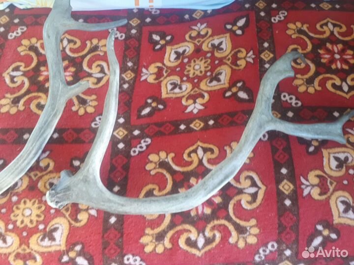 Коллекционирование