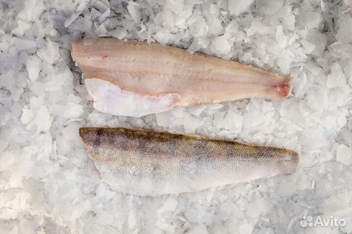 Филе Судака свежемороженое