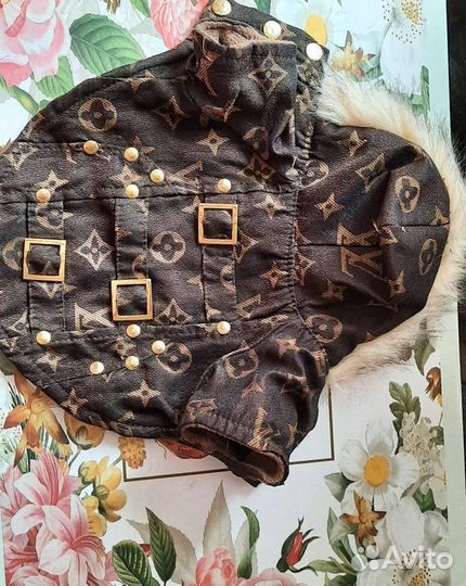 Вещи для маленькой микро собачки