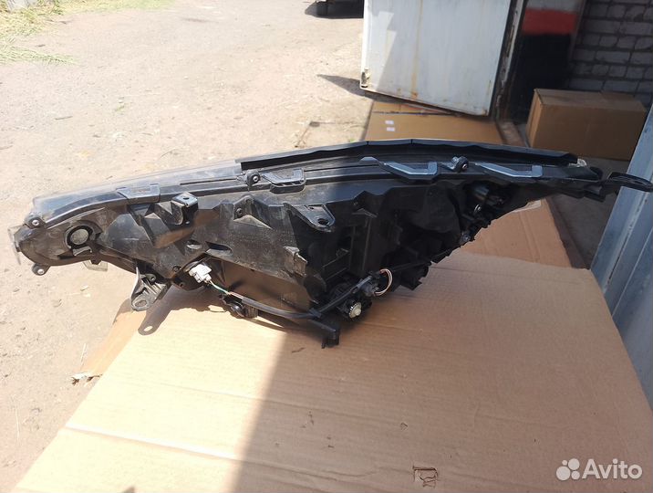 8114542842 Фара правая LED Toyota Rav4 XA50