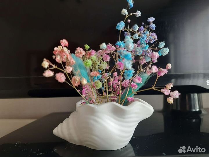 Ракушка с сухоцветами