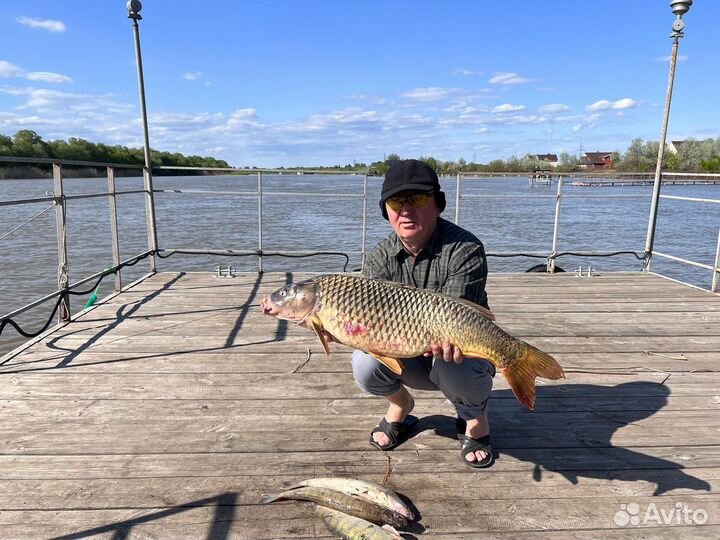 Рыбалка в Астрахани, с гидом,егерем.аренда катера