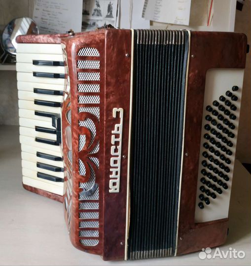 Аккордеон 1/2