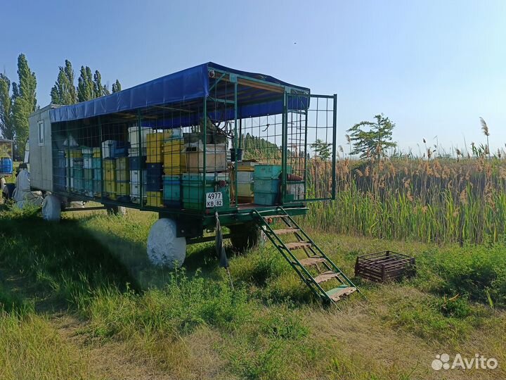 Продаëтся пасека