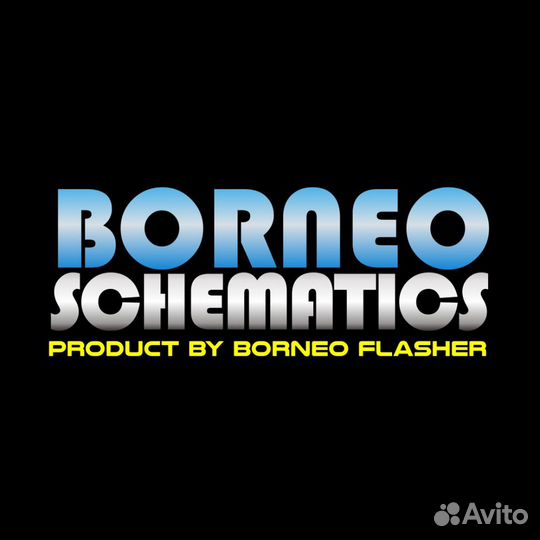 Borneo schematic доступ на 30 мин