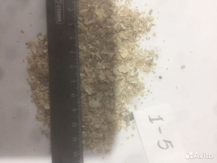 Ракушка морская кормовая