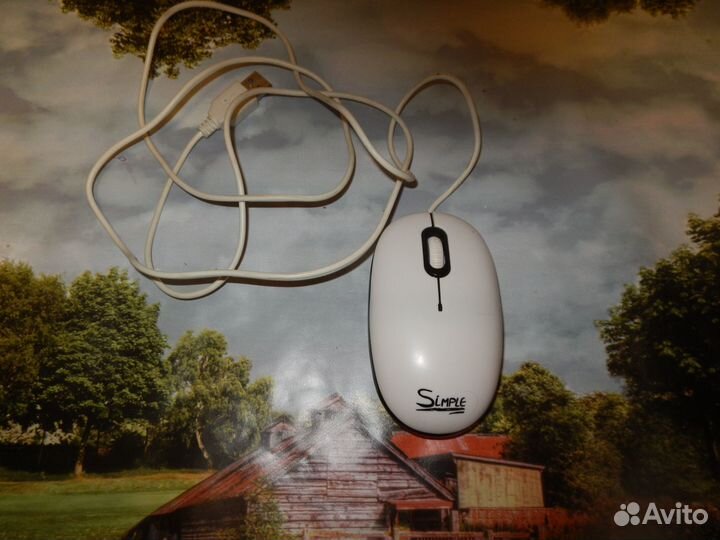 Компьютерная мышка