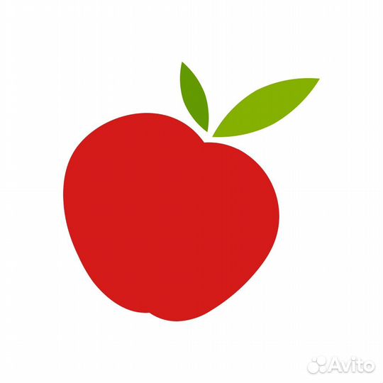 Репетиторство онлайн