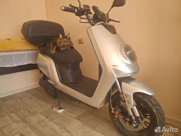 Скутер электрический