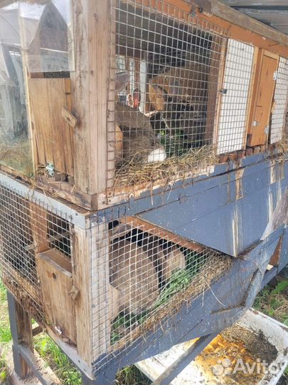 Кроличья ферма, клетки для кроликов