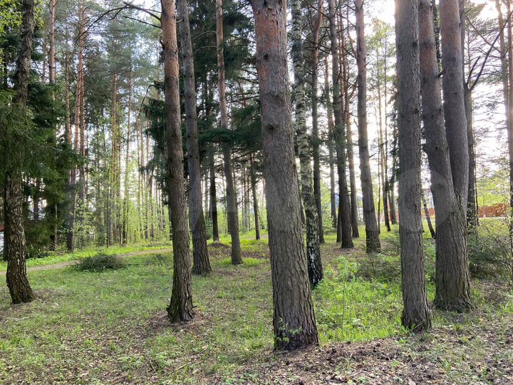 Участок 20 сот. (ИЖС)