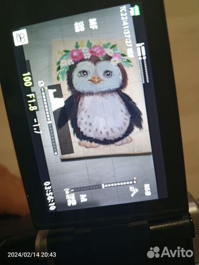 Фотоаппарат Olympus OM-D E-M5 Mark II