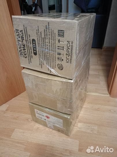 Женская одежда