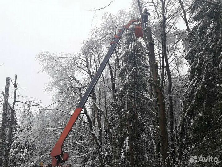 Спил деревьев, кронирование, обрезка веток