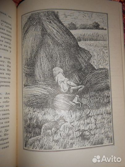 Книга Знаменательный день, А. Х. Таммсааре