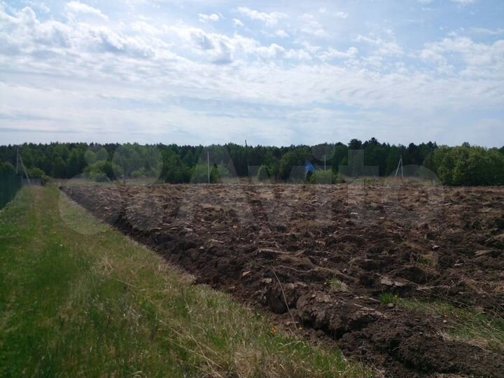 Участок 35 сот. (СНТ, ДНП)