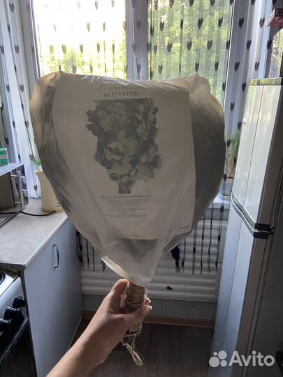 Дубовые веники для бани