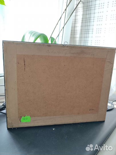 Жук Голиаф в рамке. Винтаж