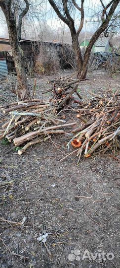 Отдам дрова бесплатно самовывоз