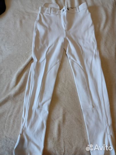 Бриджи для конного спорта