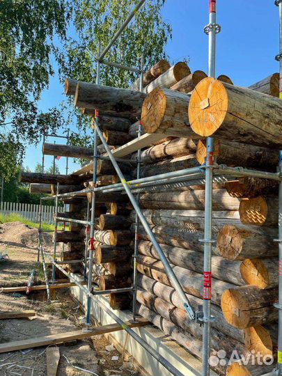 Дома и бани из полярной сосны Кело