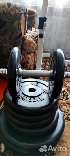 Штанга+Гантель+Скамья Жим+Стойки+Брусья