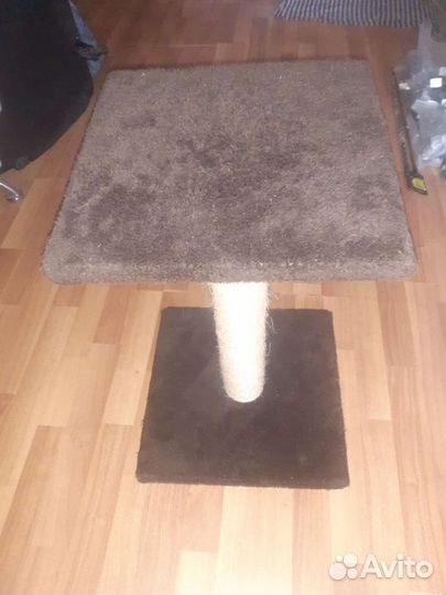 Когтеточка