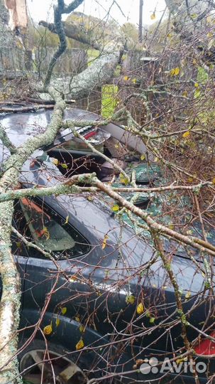 Ford Focus 1.8 МТ, 2006, битый, 200 000 км