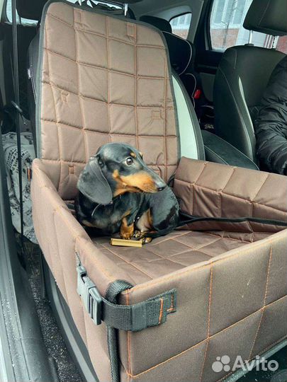 Автокресло для перевозки собак