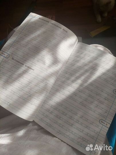 Тренажер по чистописанию 2 класс