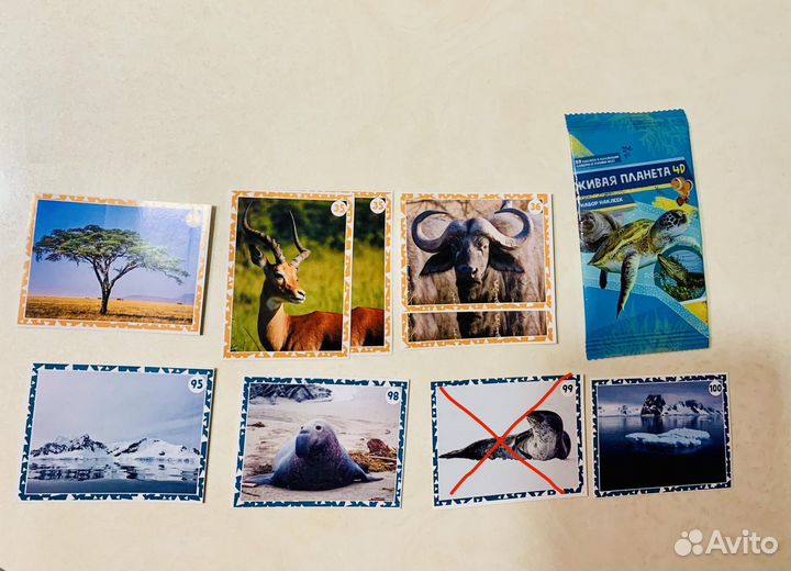 Наклейки живая планета пуд