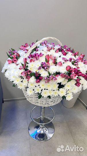 Розы Мордовия