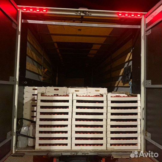 Перевозка груза в любом направлении 37 кубов