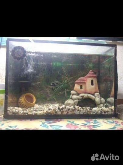 Аквариум