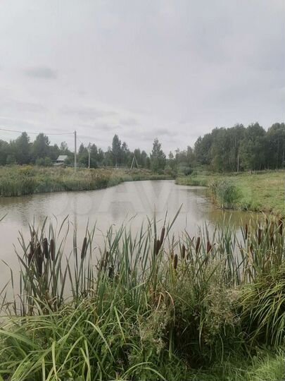 Участок 16,5 сот. (ИЖС)