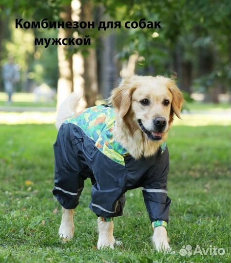 Дождевик для средней собаки
