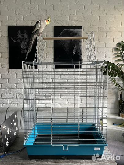 Клетка для попугая
