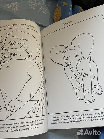 Расскраска постепы Детеныши дельфины махаон