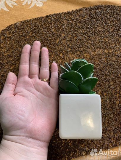 Цветок искусственный в горшке «кактус»