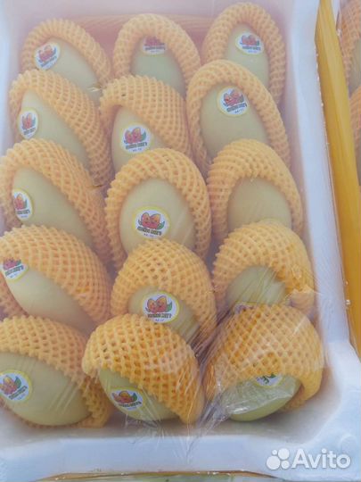 Манго свежее2600