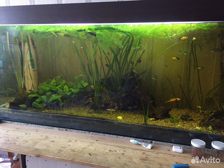 Аквариум