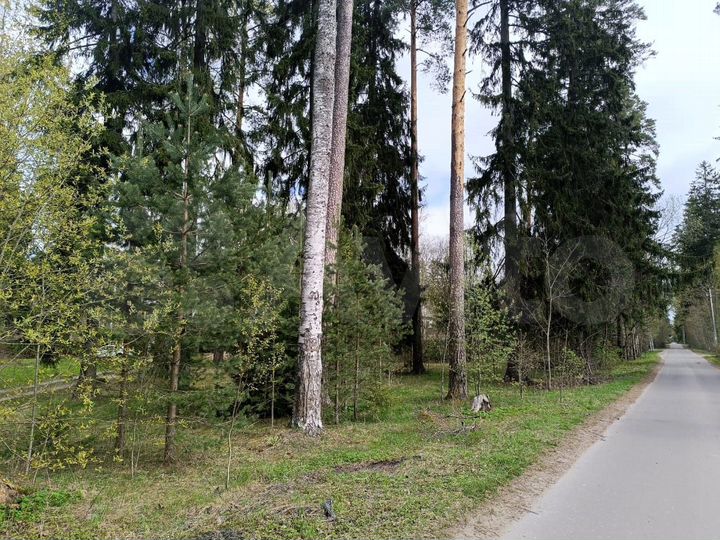 Участок 12,5 сот. (ИЖС)