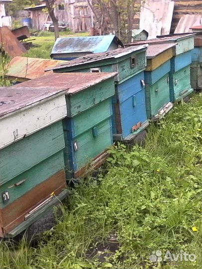 Ульи для пчел бу