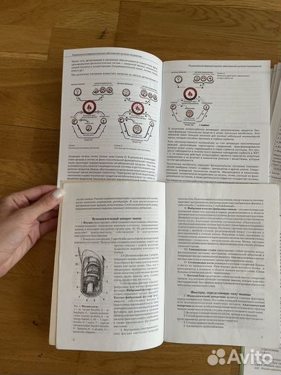 Учебно-методическое пособие