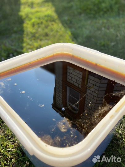 Мед Алтайское разнотравье оптом 2023